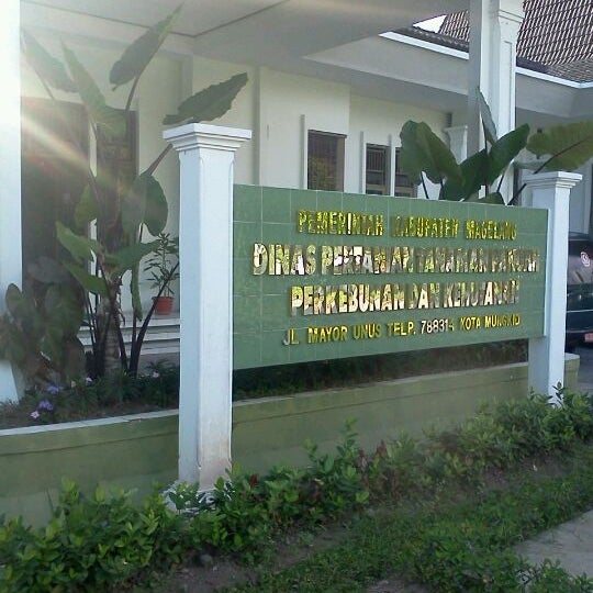 Jenis-Jenis Jabatan Lowongan Kerja Dinas Pertanian Magelang 2025 Terbaru