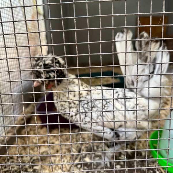 Photos at Brookfield Produce and Pet Pavillion 3 tips