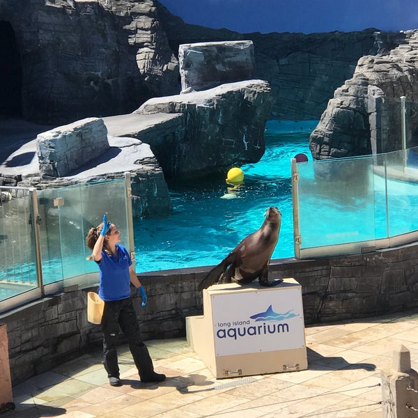 Photo prise au Long Island Aquarium &amp; Exhibition Center (Atlantis Marine World) par ¤ Paula ¤ G. le6/3/2017