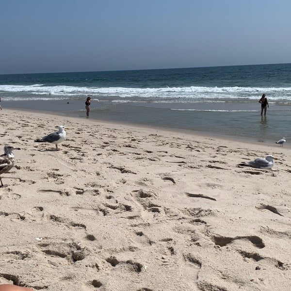 Cupsogue Beach Beach in Westhampton