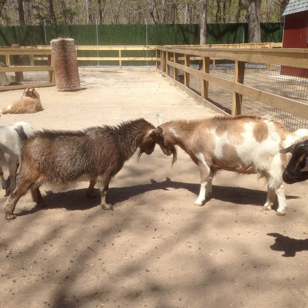 Das Foto wurde bei Cape May County Zoo Society von Sharyn am 4/28/2013 aufgenommen