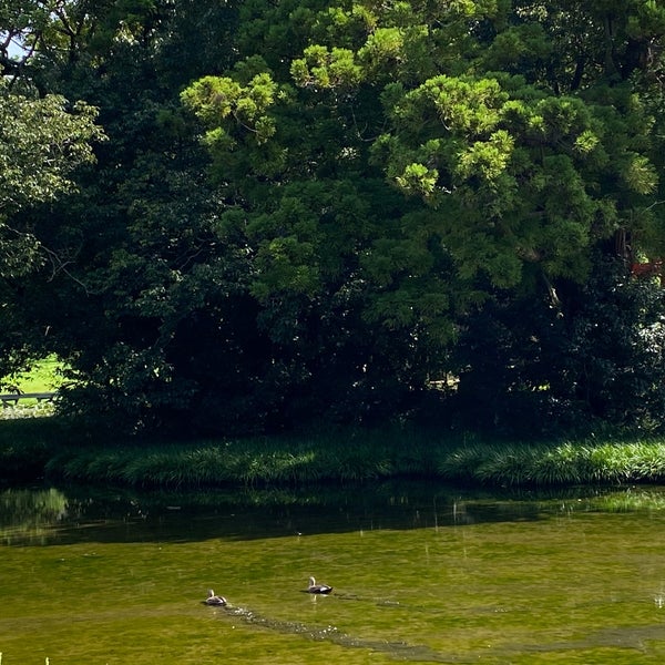 厳島湿生公園 Park In 足柄上郡中井町