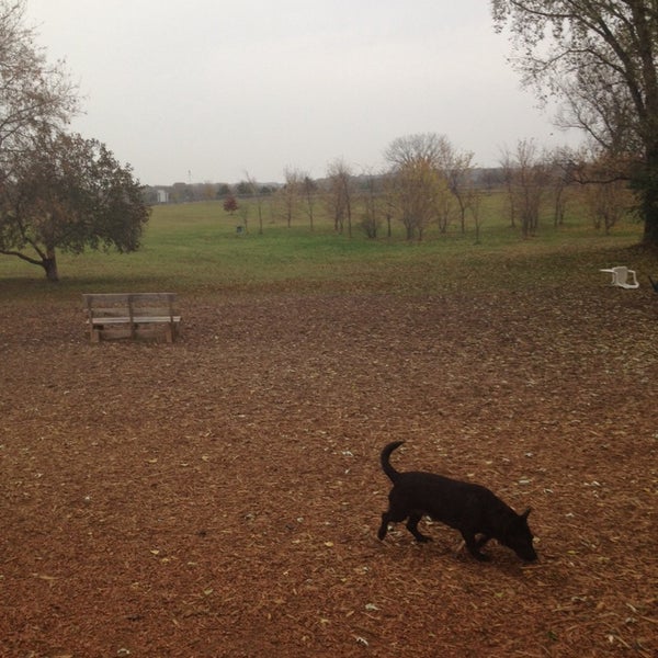 A great dog park, even on a rainy day!