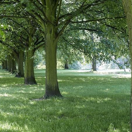 Get fit in gorgeous surroundings with British Military Fitness in Hyde Park. If you’re going to suffer, the scenery and camaraderie definitely helps!