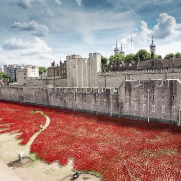 #tipoftheday Head to The Tower of London and see the thousands of ceramic poppies that have been installed around the famous landmark in memory of the lives lost in the first World War.