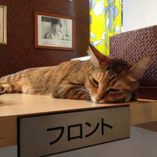 ホテル ダイキ Hotel Daiki 1 Tip ホテル ダイキ Hotel Daiki 1 Tip