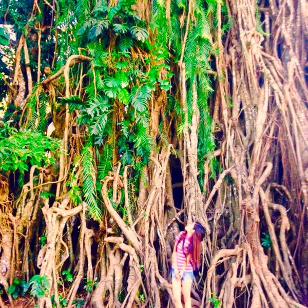 Photo taken at Biggest Balete Tree in Asia by Shyr C. on 2/8/2015