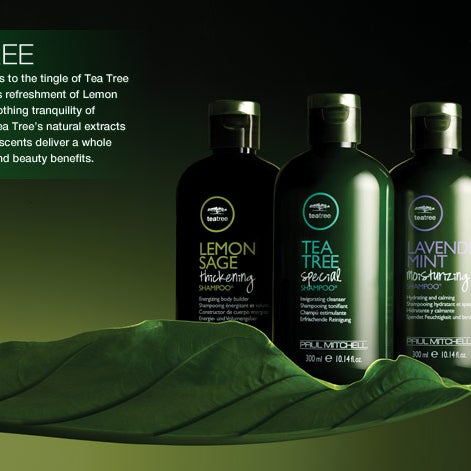 Paul Mitchell Focus Salon Savannah Clipper Hairstyles Building
