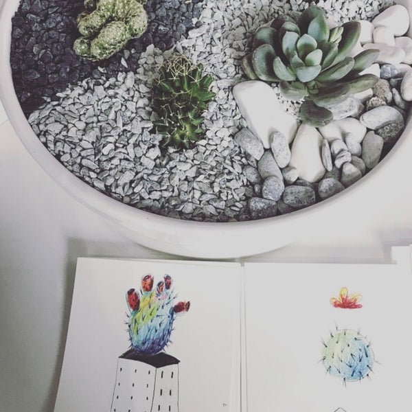 Почва для кактуса в дробях. Cactus lab. Cactus lab. Cactus lab. Очиток красноокрашенный.