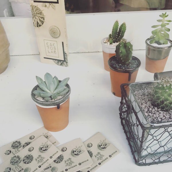 Cactus lab. Вейп баклава. Электронная сигарета манго лемон. Cactus lab. Cactus lab.