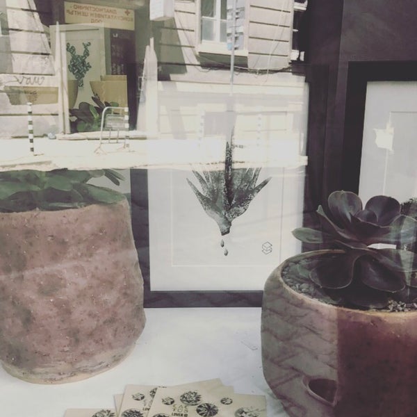 Cactus lab. Одинокий кактус. Кактусовая почва, покрытая галькой. Cactus lab. Cactus lab.