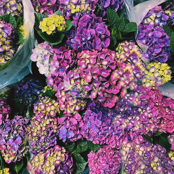 Kitchen Table Grocery Store in Toronto