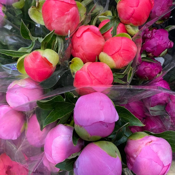Kitchen Table Grocery Store in Toronto