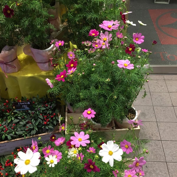 Photos At フルール カレン 五反田店 Now Closed Flower Shop In 品川区
