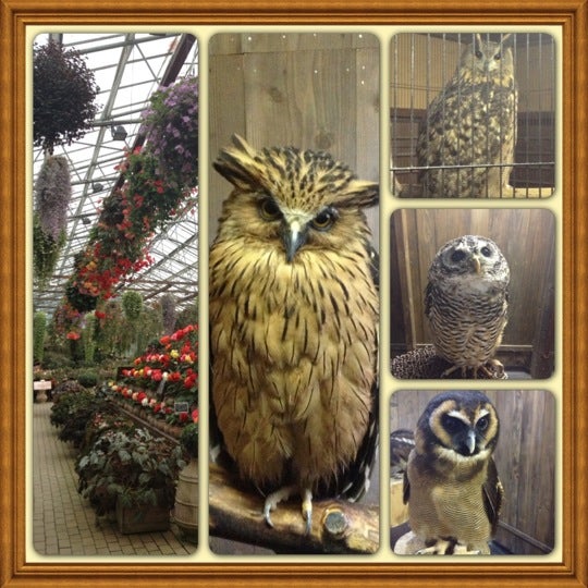 富士花鳥園 根原480 1 富士花鳥園 根原480 1