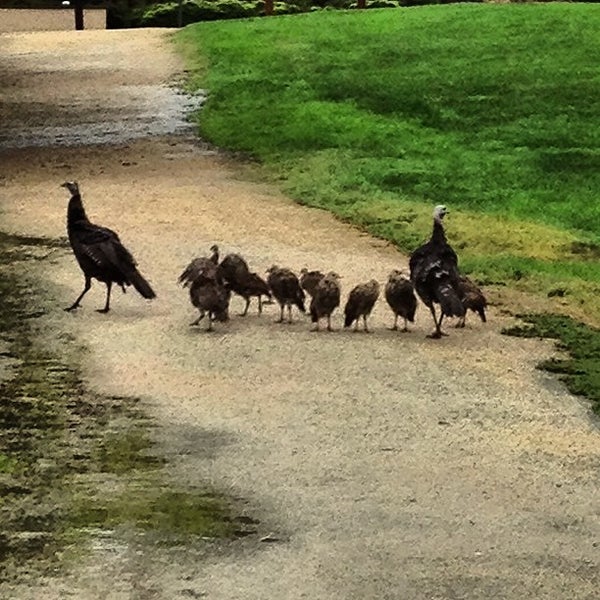 Photos at Clover Valley Park Park in Rocklin