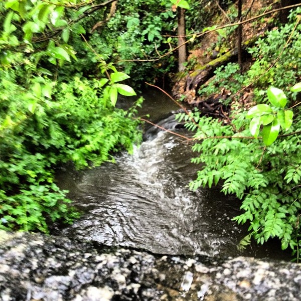 Photos at Clover Valley Park Park in Rocklin
