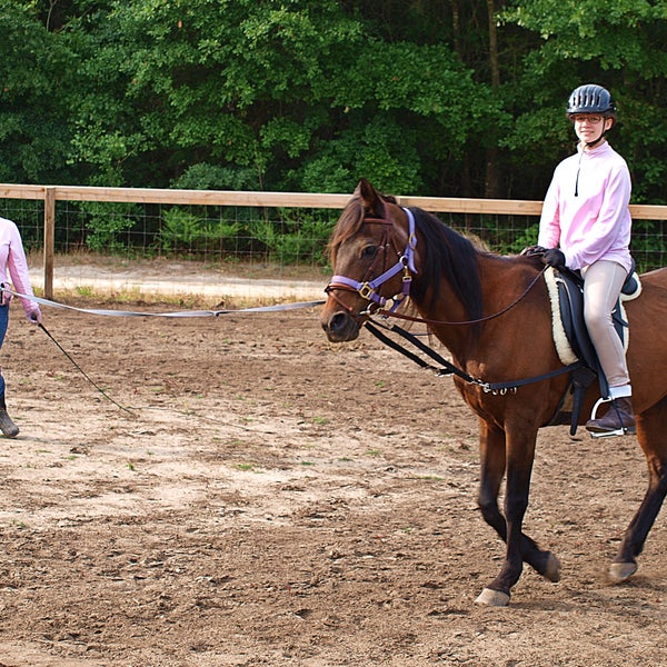 Joyful Noise Riding Academy - Stable in Hartsville