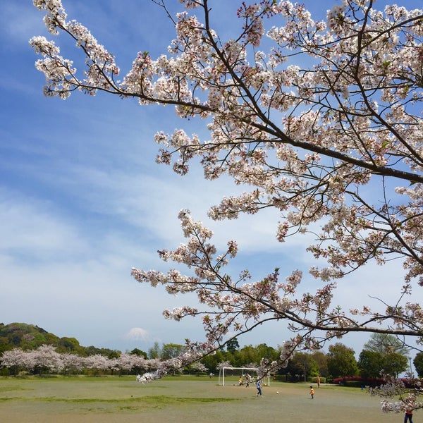 静岡市清水日本平運動公園 清水区村松30 1 静岡市清水日本平運動公園 清水区村松30 1