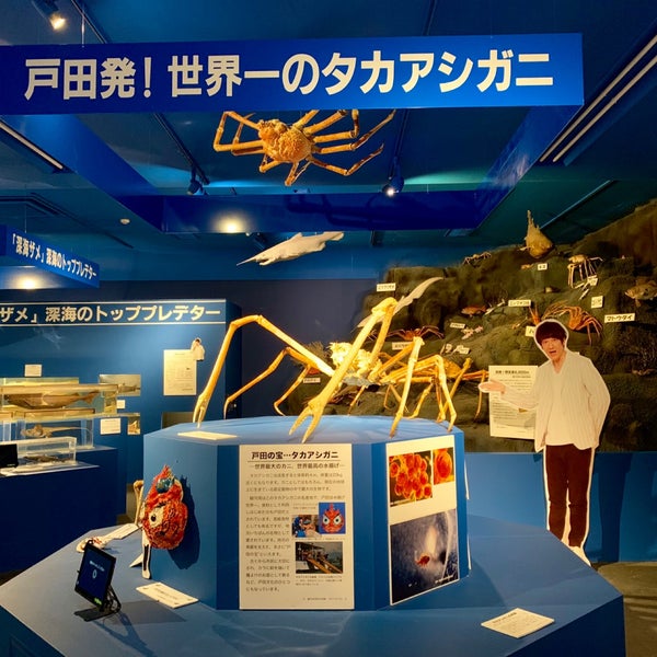 Photos At 駿河湾深海生物館 Science Museum In 沼津市 Photos At 駿河湾深海生物館 Science Museum In 沼津市