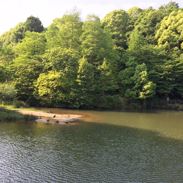 Photos At みくるま池 甲山森林公園内 Lake In 西宮市