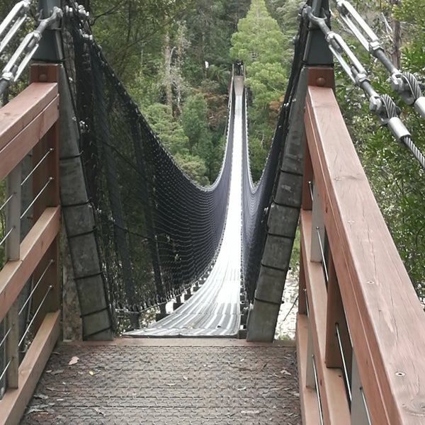Tahune Airwalk 7 Tips From 207 Visitors