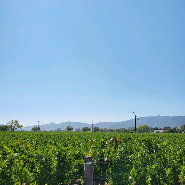 รูปภาพถ่ายที่ Opus One Winery โดย Em C. เมื่อ 9/7/2021