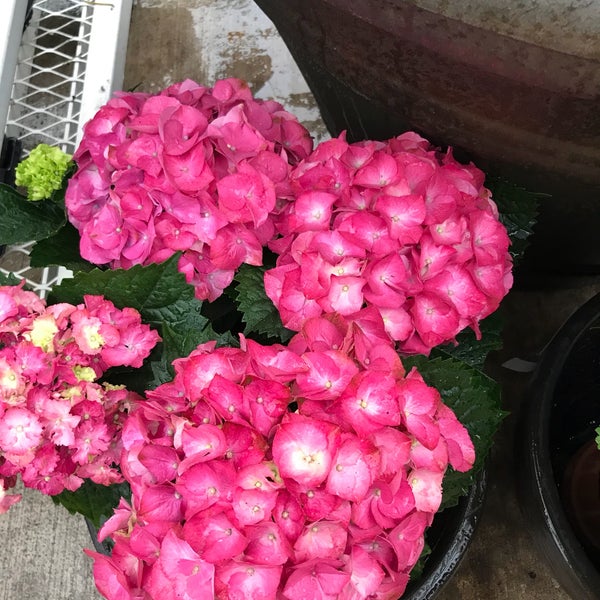 Lowe's Hardware Store in Bradenton