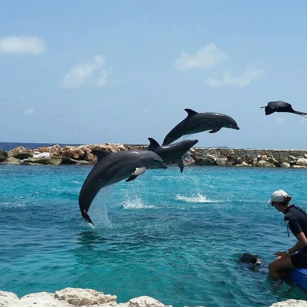 Foto tirada no(a) Dolphin Academy por Elisangela M. em 9/2/2015