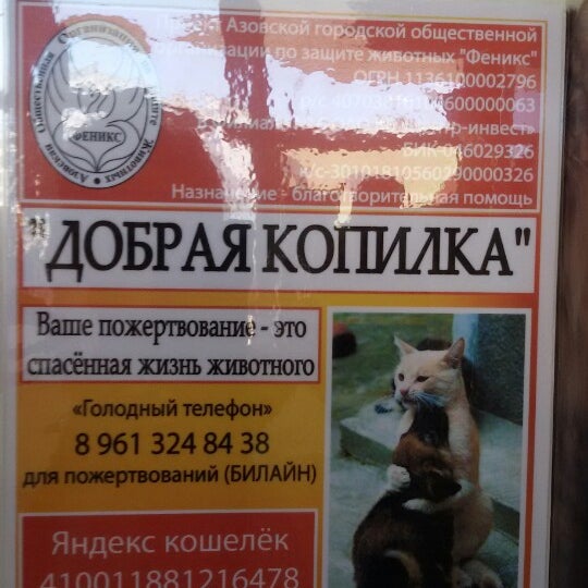 Ветеринарная Клиника Мир Животных Спб Отзывы