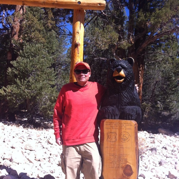 Foto scattata a Big Bear Discovery Center da Metro Bear il 10/18/2014