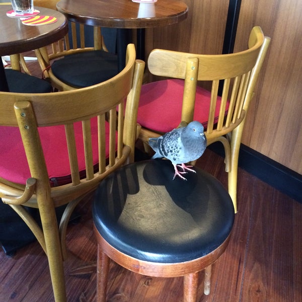 6/13/2015 tarihinde B. G.ziyaretçi tarafından İki Kedi Cafe'de çekilen fotoğraf