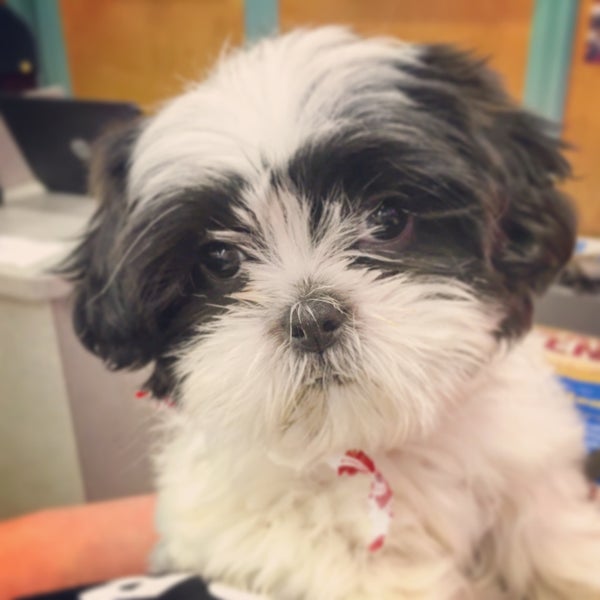 Happiness Is Pets Pet Supplies Store