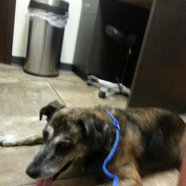 vca ragland & riley animal hospital