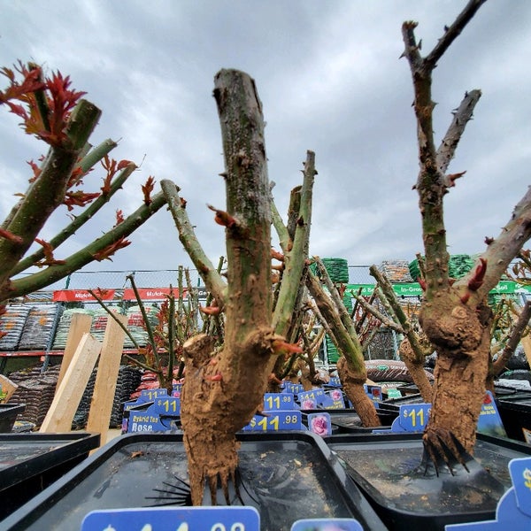 The Home Depot Bethlehem, PA