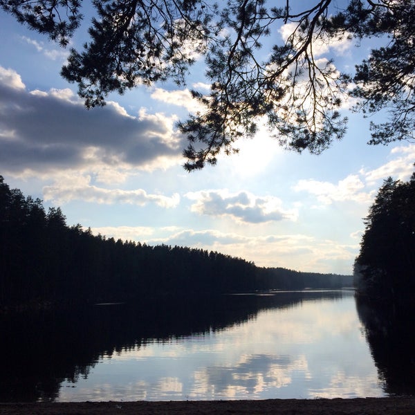 Озеро берестовое