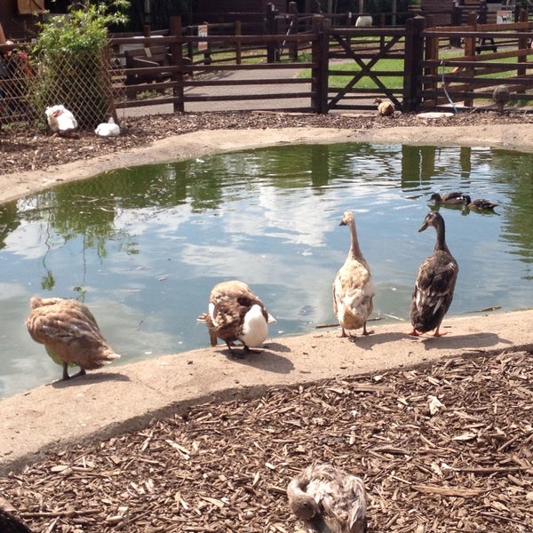 Brooks Farm 5 tips from 113 visitors