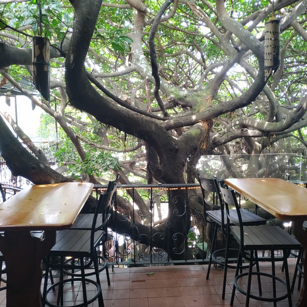 Photo taken at Tree House Restaurante &amp; Cafe by Julio H. on 6/29/2019
