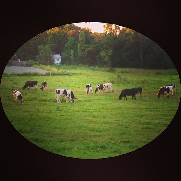 8/16/2013 tarihinde Nicole R.ziyaretçi tarafından Maggie&#39;s Farm'de çekilen fotoğraf
