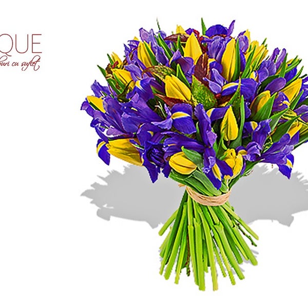 Floraria Magique Bucuresti Flower Shop in Dorobanți