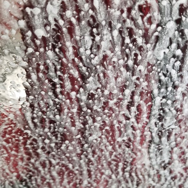 Foto scattata a Express Car Wash da In Vitis Veritas il 2/4/2020