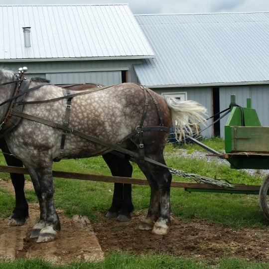 Delano Community Farm Market 3 tips