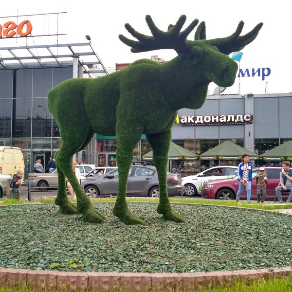 зеленый лось. зеленый лось. олень на зеленом фоне. спас клепики рязань. зеленый лось.
