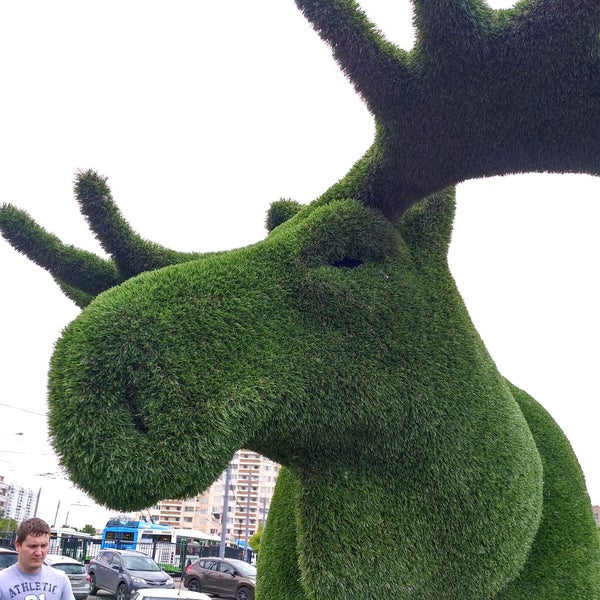 зеленый лось в орске. зеленый лось. лось зеленого цвета. зеленый лось. топиарные фигуры хабаровск.