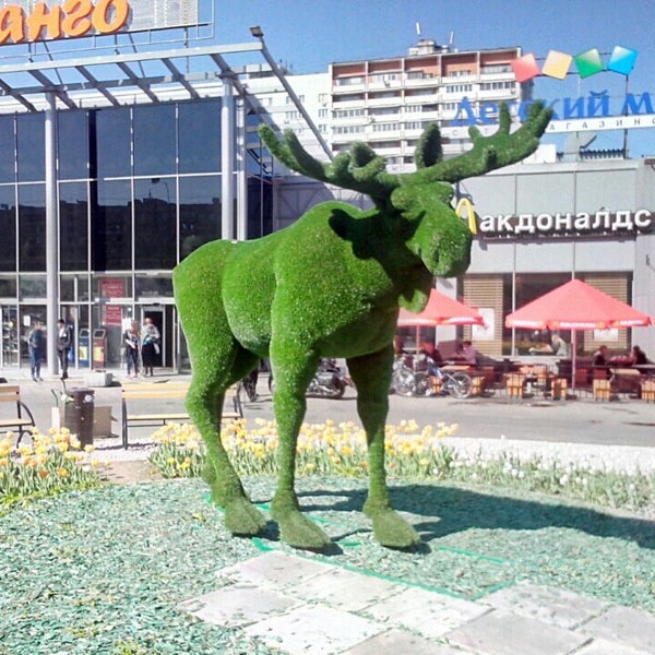 тихвин природный парк зелёный лось. лосиха на прозрачном фоне. зеленый лось. топиарная скульптура лось. спас клепики.