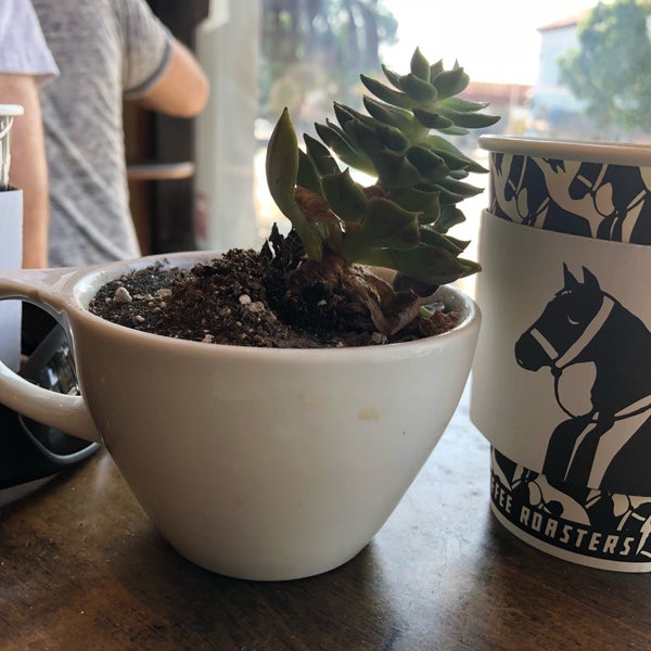 8/19/2018にIrlanda R.がDark Horse Coffee Roastersで撮った写真