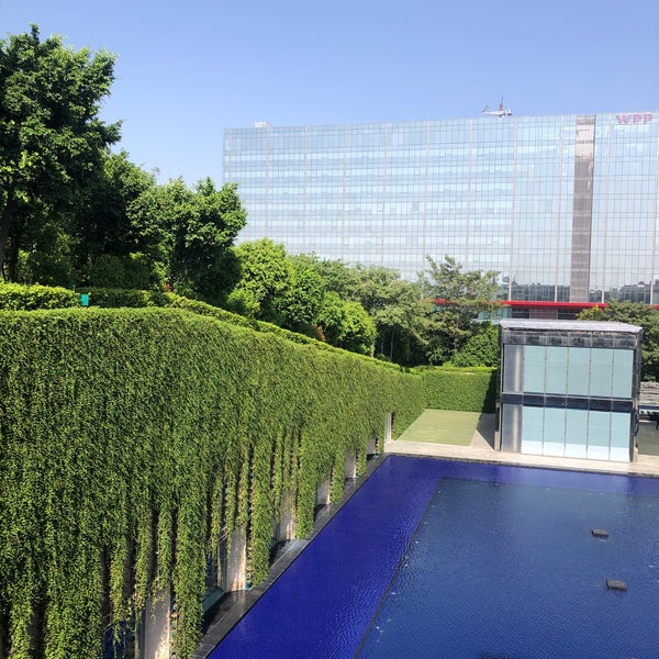 Mirror pool. Mirror pool