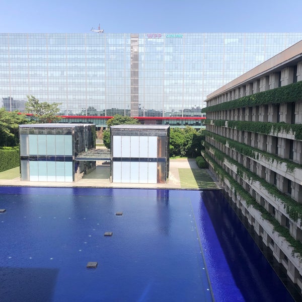 Mirror pool. Mirror pool