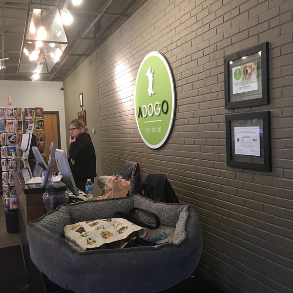 Adogo Pet Hotel Pet Service in Hopkins