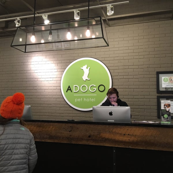 Adogo Pet Hotel Pet Service in Hopkins